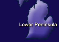 Lower Peninsula Auto Dealerships