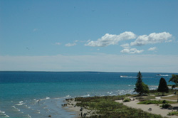 Island Flora